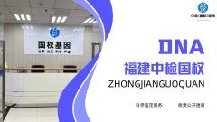 <b>亲子鉴定与孩子落户、入学:关联实操指</b>