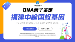 <b>亲子鉴定费用全解析:多少钱、为什么贵</b>