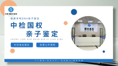 <b>孕期亲子鉴定：安全、准确、隐私的核心</b>