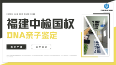 <b>拿到鉴定报告后，第一步应该做什么？后</b>