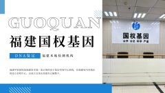 <b>在传统与现代之间：鉴定结果后的家族关</b>