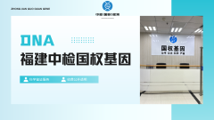 <b>从样本到结论：揭秘亲子鉴定实验室内的</b>