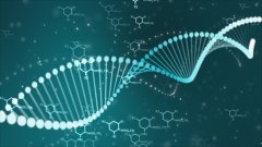 <b>寻根问祖：亲子鉴定如何连接断裂的家族</b>