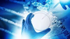 <b>从家庭到社会：亲子鉴定如何影响公共政</b>