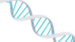 <b>心理健康不能忽视：亲子鉴定全过程的心</b>