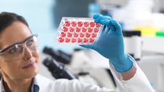 <b>给祖父母/其他亲属的指南：当孩子需要你</b>