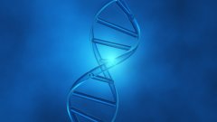 <b>一个普通家庭的完整故事：从怀疑、鉴定</b>