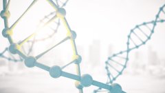 <b>不仅仅是血缘：亲子鉴定如何影响抚养权</b>