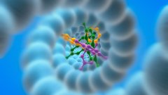 <b>给好奇者的终极简化版：DNA亲子鉴定原理</b>