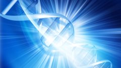 <b>面对结果后的家庭会议：如何告知家人与</b>