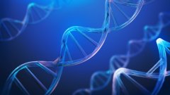 跨国领养与移民：亲子鉴定在国际事务中