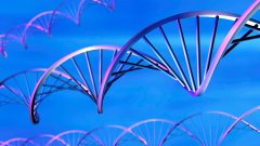 <b>孩子长得不像我？——关于遗传相貌的趣</b>