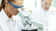 <b>司法亲子鉴定：程序、效力与法律意义</b>