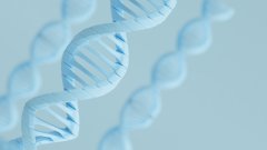 <b>未来已来：亲子鉴定技术的演进与伦理新</b>