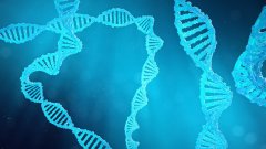 <b>历史的谜团与未来的可能：亲子鉴定在特</b>