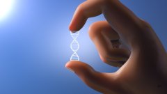 <b>从实验室到生活：一次标准亲子鉴定的完</b>