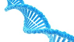 <b>高龄得子与隔代疑虑：晚年亲子关系确认</b>