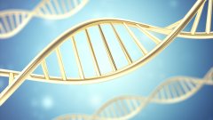 <b>大众的迷思与专家的共识：关于亲子鉴定</b>