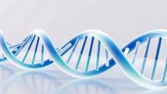 <b>从血型到DNA：亲子鉴定技术的百年演进史</b>