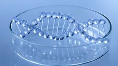 <b>跨国、跨文化与复杂家庭的亲子鉴定迷局</b>