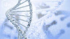 <b>拨开迷雾：全面澄清亲子鉴定领域的流行</b>