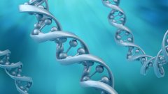 <b>迈出这一步之前：亲子鉴定的伦理与心理</b>