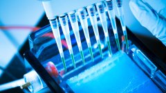 <b>亲子鉴定中的“不匹配”：认识基因突变</b>