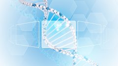 跨越时空的血缘纽带：亲缘关系鉴定全透