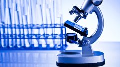 <b>当技术遇见文化：亲子鉴定的社会接受度</b>