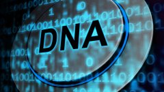 <b>从血型到DNA：亲子鉴定技术的世纪演进史</b>