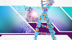 <b>自己采样怎么做？口腔拭子标准采集图文</b>