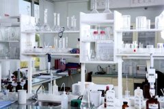 消费级基因检测与亲子鉴定:本质区别与常见误