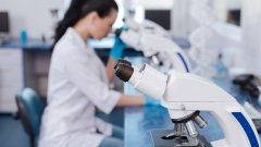 <b>从“滴血认亲”到DNA：亲子鉴定技术简史</b>