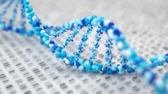 <b>当亲子鉴定成为“家庭秘密”：知晓权、</b>