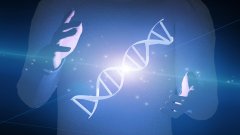 <b>读懂实验室报告上的关键指标：突变、等</b>