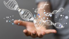 <b>亲子鉴定中的“沉默证人”：解读Y染色体</b>