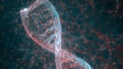 <b>亲子鉴定在遗产继承纠纷中的核心作用与</b>