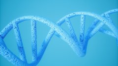 <b>面对伴侣的猜疑：被要求做亲子鉴定时的</b>