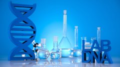 <b>解读复杂亲缘关系：同父异母/同母异父兄</b>