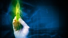 <b>高龄父母与亲子鉴定：衰老对DNA样本质量</b>