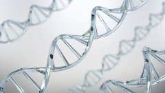 当结果出现“小意外”：解读基因突变与特殊亲