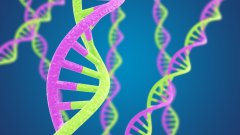 从烟蒂到牙刷：揭秘非标准DNA样本的提取