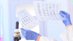 从血型到基因组：亲子鉴定技术的历史演进与科