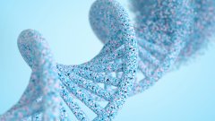 <b>血缘认知的全球图景：不同国家与地区的</b>