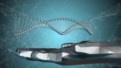 <b>下一代测序与SNP芯片：亲子鉴定的未来已</b>