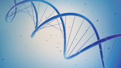 <b>历史的回响：从滴血认亲到基因图谱——</b>