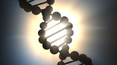 <b>当三联体不再完整：缺员、近亲与基因突</b>