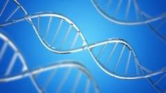 <b>从血液到烟蒂：全面评析各类DNA鉴定样本</b>