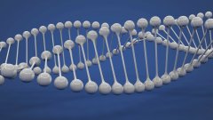 <b>从数据到确信：揭秘亲子鉴定中“99.99%”</b>