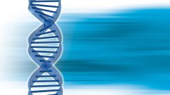 <b>解码过去：DNA技术如何为历史悬案与人类</b>